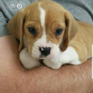 Meet your Posher, Mark